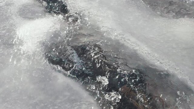 mountain river flows near the mountains covered with ice and snow. pure water is the source of life. cold winter. beautiful nature. 
