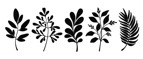 Tuinposter Set of leaves silhouette of beautiful plants, leaves, plant design. Vector illustration . © SarraMagdalina