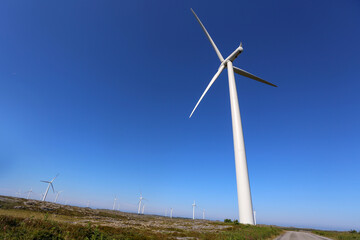 Fototapeta premium Smoela wind park