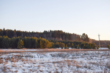 Winter. Trees. Snow. Sky