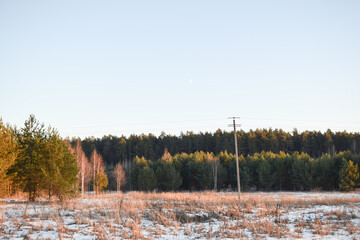 Winter. Trees. Snow. Sky