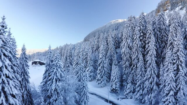 &Eacute;l&eacute;vation drone au dessus de la for&ecirc;t. Paysage d&rsquo;hiver, maison recouverte de neige. Jura. Ciel bleu.