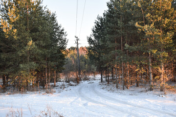 Winter. Road. Trees. Snow. Sky