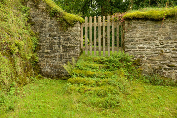 Old gate and stairs with ivy at Friesenhagen in Germany