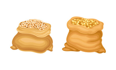 Sacks of wheat, barley or rue grains. Agriculture or bakery vector illustration