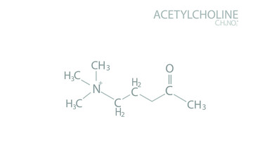 Obraz premium Acetylcholine molecular skeletal chemical formula. 