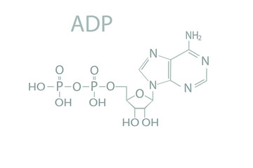 Adenosine diphosphate (ADP) molecular skeletal chemical formula.	