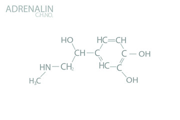 Fototapeta premium Adrenalin molecular skeletal chemical formula. 