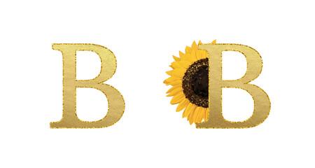 Golden sunflower Latin alphabet. Summer ABC on white background. Letter B