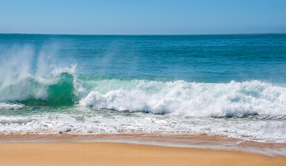 Fototapeta premium the perfect wave on the west coast of Portugal, Nazare