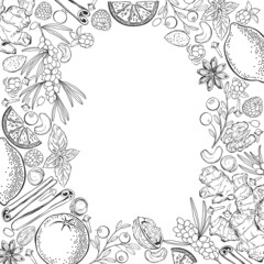 Natural vitamins. Pre-made design with frame  and place for text. Vector layout decorative greeting card or invitation design background.  Black and white.