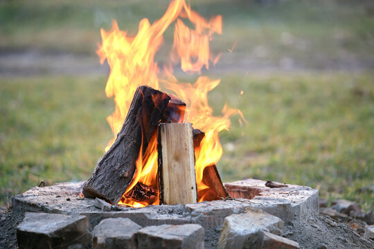 Wooden logs burning with hot orange flames in outdoor bonfire. Grilling and barbecue concept