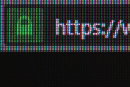 Extreme closeup on LCD screen with https padlock and url bar