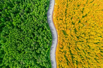 Fotobehang Oranje forest divided by a winding road in half, background top view change of seasons summer autumn bright concept  © Vladimir Razgulyaev