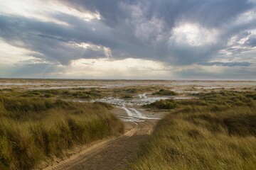 Dunes at the Beach of Amrum, Germany, Europe 