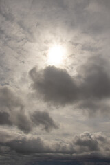 Obraz premium Seagulls flying among'st the clouds over the beach.
