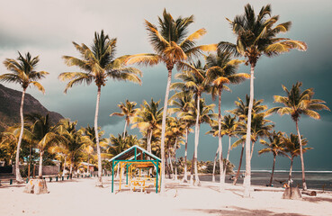 beautiful beach with palm trees in the Caribbean