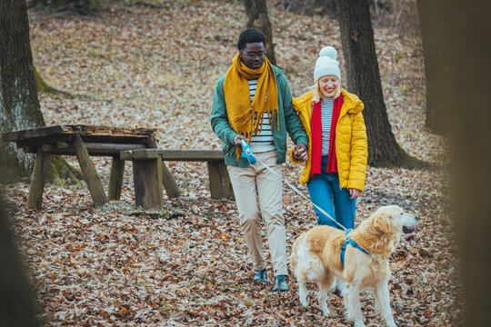 Cropped image of romantic couple is on a walk in the city with their dog Golden Retriever. Beautiful young woman and handsome man are having fun outdoors with golden retriever.