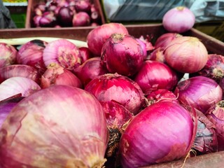 red and white onions