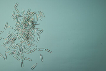 Stationery paper clips on background