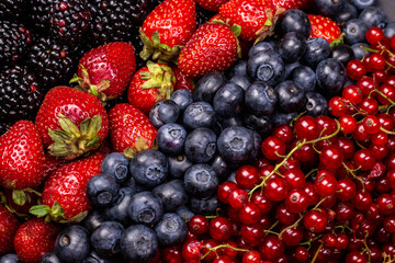 Different berry fruits background. Strawberry, blueberry, raspberry, red currant and blackberry mix.