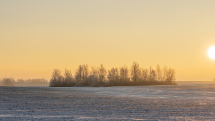 Fototapeta na wymiar Winter landscape in snow nature with sun, field and trees. Magical winter sunset in a snow field.