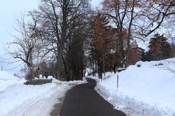 Saint-Cergue, comuna suiza del cantón de Vaud, en Nyon. Vacaciones de invierno para Squiar