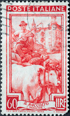Italy - circa 1950: a postage stamp from Italy showing a farmer driving in the Harvest, Ducal Palace in Urbino (Marche)