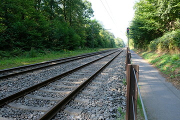 FU 2020-09-13 Herchen 142 Eisenbahnschienen verlaufen im Wald