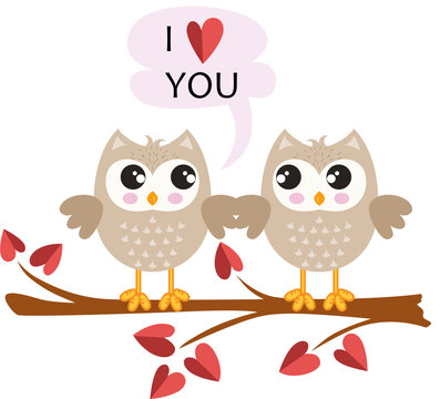 Cute couple of owls in love
