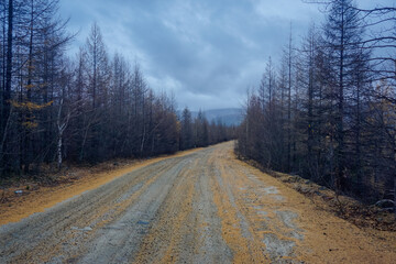 Gravel road in the taiga in the Trans Baikal Territory