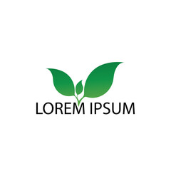 leaf logo icon vector design template
