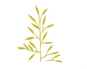 Cereal plant, oats, color drawing, on a white background, for print and design