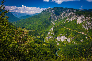 Deep canyon of the wild Tara river in Montenegro. The deepest canyon in Europe. - obrazy, fototapety, plakaty