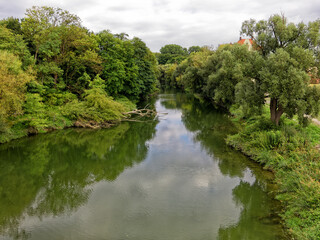 Fototapeta na wymiar Verwilderter, mit Bäumen bewachsener Nebenarm der Donau in Regensburg, Bayern, Deutschland, Europa