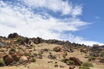 Fototapeta na wymiar Teneriffa Wald Teide