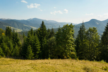 Fototapeta premium Beautiful view of mountains covered with green trees on sunny day