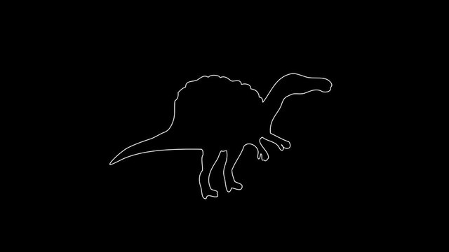 white linear spinosaurus silhouette. the picture appears and disappears on a black background.