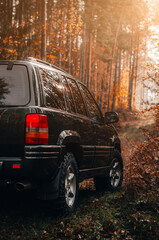 auto na drodze w lesie © Bartosz