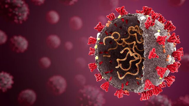 Corona virus, SARS CoV 2, 2019 nCoV News and blogs ready video. Omicron, Delta, Deltacron background Text free video. 3D Animation. 