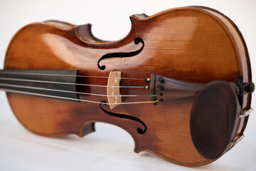 Violin Corpus on white Background