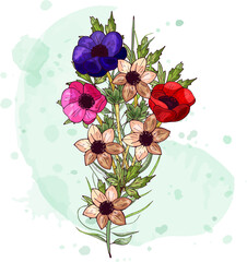 A bouquet of multicolored anemone flowers hand-painted on a watercolor pastel green background. Isolated object on a white background. Manual drawing. Vector illustration.