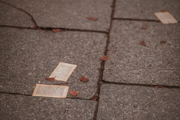 Three ripped Book Pages on the street in autumn