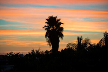 Perfect palmtree sunset with a colorful orange and blue sky in the background