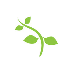 leaf logo icon vector design template