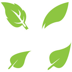 leaf logo icon vector design template