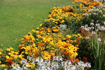 Rabatte mit gelb orangenen Blumen im Garten