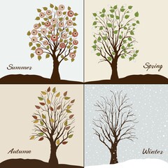 Trees in four seasons - winter, autumn, summer, spring