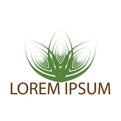 leaf logo icon vector design template