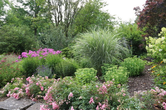 Zauberhafter Staudengarten im Sommer